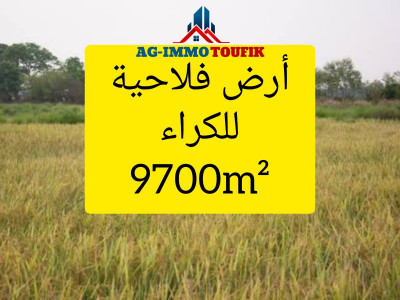 Location Terrain Agricole Alger Souidania
