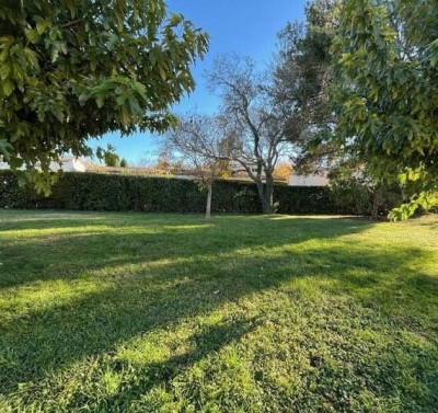 Vente Terrain Alger Douera