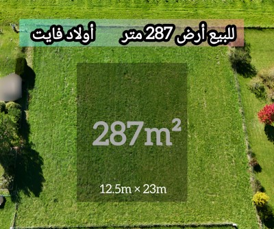 Vente Terrain Alger Ouled fayet