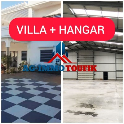 Location Hangar - Usine Alger Birkhadem