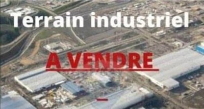 Sell Land Mostaganem Mostaganem