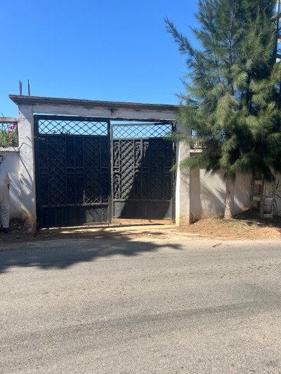 Vente Terrain Alger Saoula