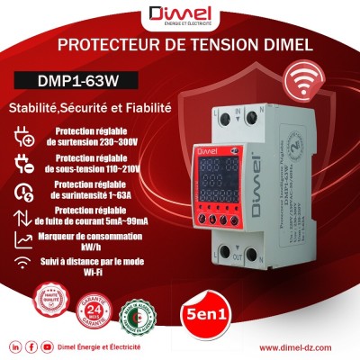 Protecteur de Tension DMP1 63W DIMEL