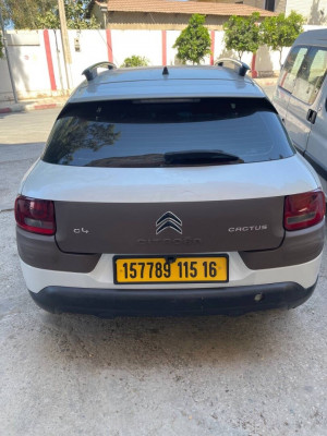 tout-terrain-suv-citroen-c4-cactus-2015-shine-cheraga-alger-algerie