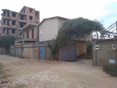 terrain-vente-boumerdes-boudouaou-algerie