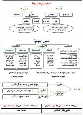 education-formations-تقديم-دروس-الدعم-والدورات-التدريبية-bab-ezzouar-alger-algerie