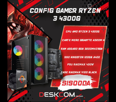 Config Gamer Amd Ryzen 3 4300G