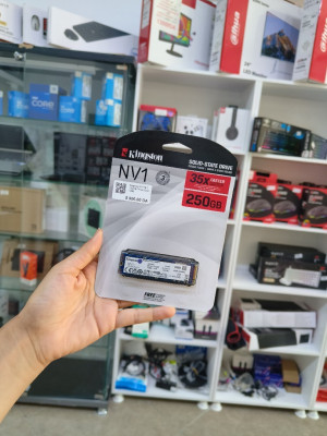 Kingston NV1 NVMe PCIe SSD 250G M.2 2280 - SNVS/250G Mémoire interne SSD Bleu