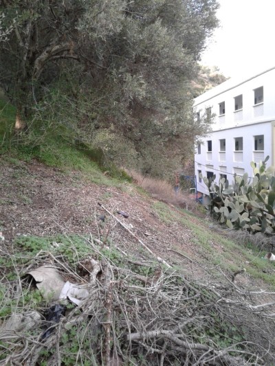 Vente Terrain Skikda Collo