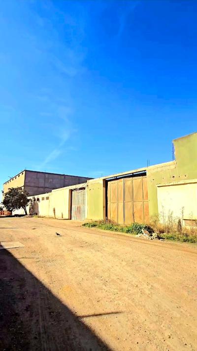 بيع أرض وهران بئر الجير