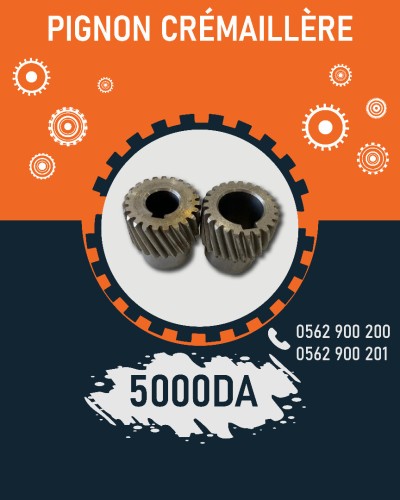 PIGNON CREMAILLERE 