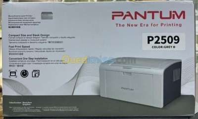 PANTUM P2509 - IMPRIMANTE LASER - MONOCHROME A4 - MONOFONCTION - 22 PPM  - USB 2.0 - PD219 - GRISE 