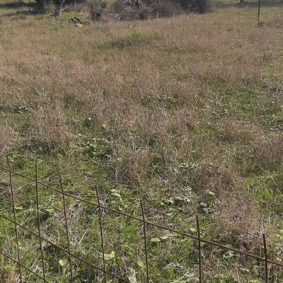 Sell Land Boumerdès El kharrouba