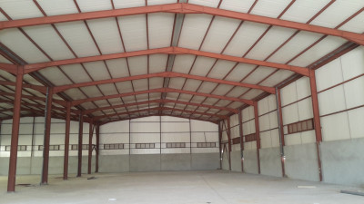Vente Hangar Blida Boufarik