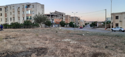 appartement-vente-bouira-algerie