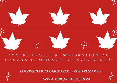 services-a-letranger-immigrer-au-canada-avec-cibic-cest-facile-et-securise-cheraga-alger-algerie