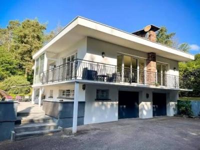 بيع أرض الجزائر الأبيار