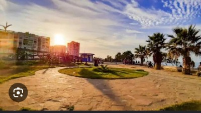 آخر-كراء-عقار-الجزائر-سيدي-موسى