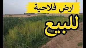 بيع أرض فلاحية تيبازة سيدي عمر