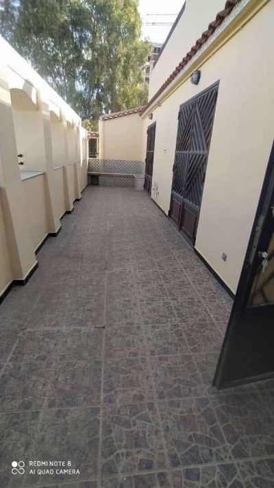 Rent Apartment F3 Alger Cheraga