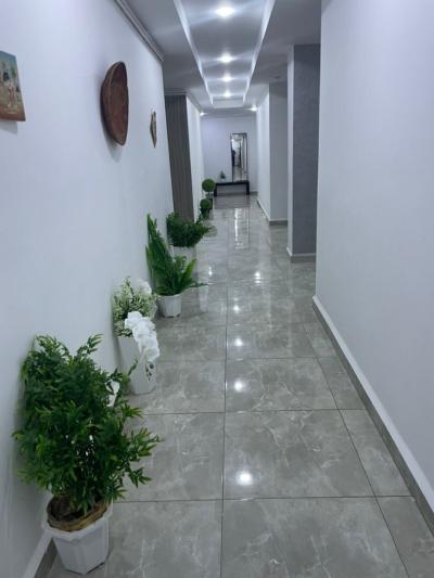 Rent Apartment F3 Alger Cheraga