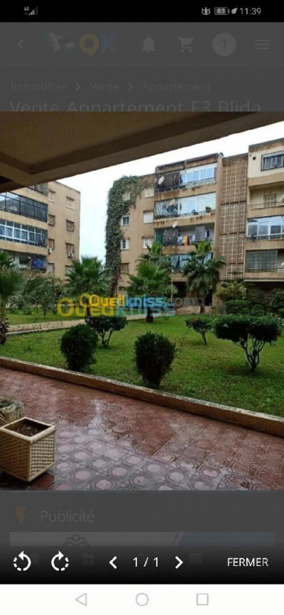 appartement-location-f4-blida-beni-mered-algerie