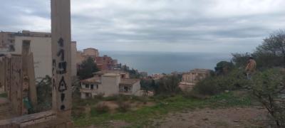 بيع أرض الجزائر بوزريعة