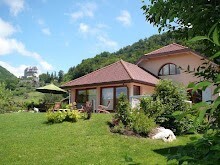 Location Terrain Blida Blida