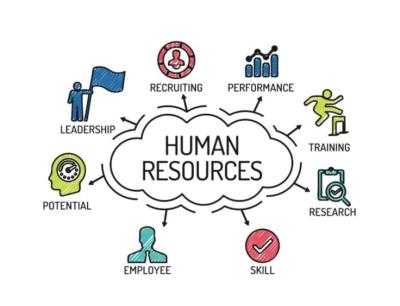 إدارة-و-تسيير-ressources-humaine-freelance-بابا-حسن-الجزائر