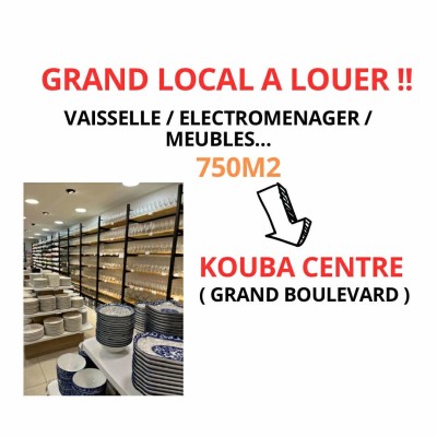 Location Local Alger Kouba