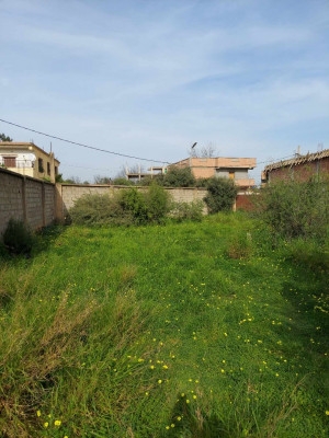 Sell Land Alger Ouled chebel