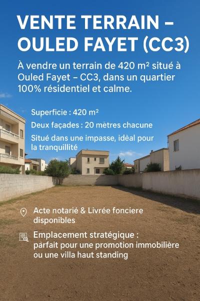 بيع أرض الجزائر أولاد فايت