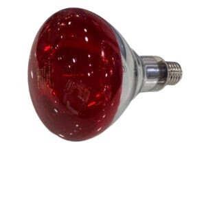 Ampoule infrarouge 250W 
