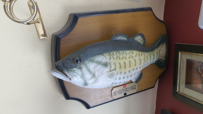 decoration-vintage-poisson-chantant-big-mouth-billy-bass-made-in-germany-90s-chante-et-bouge-staoueli-alger-algerie