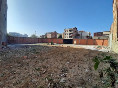 Location Terrain Alger Baraki