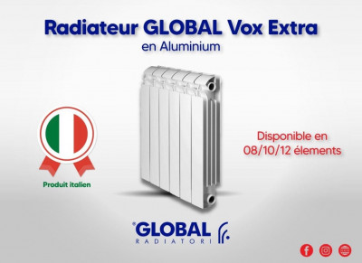 construction-travaux-radiateur-aluminium-global-vox-extra-made-in-italy-rouiba-alger-algerie
