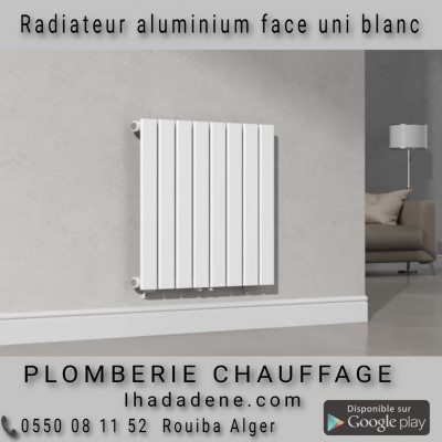 chaudieres-et-radiateurs-radiateur-aluminium-faral-alice-royal-rouiba-alger-algerie