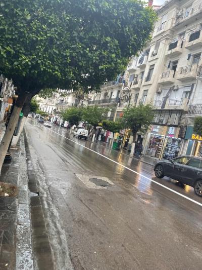 Vente Local Alger Sidi mhamed