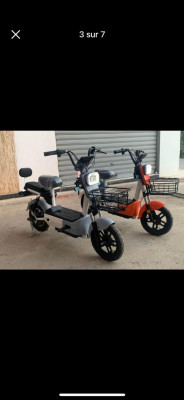 motos-et-scooters-scoozer-2024-blida-algerie