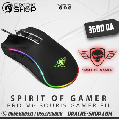 Souris Spirit of Gamer Pro-M6 RGB