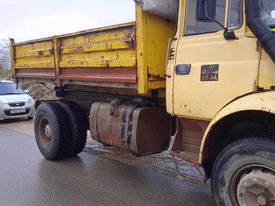 camion-renault-glr-1985-hammedi-boumerdes-algerie