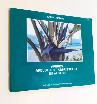 sciences-techniques-et-medecine-arbres-arbustes-arbrisseaux-en-algerie-biskra