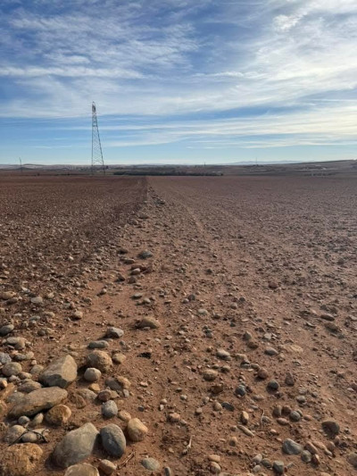 terrain-vente-sidi-bel-abbes-hamadouche-algerie