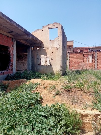 Vente Terrain Tipaza Hadjout