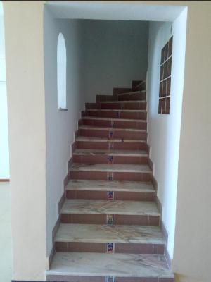 duplex-location-alger-el-biar-algerie