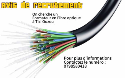 education-formations-formateurformatrice-en-fibre-optique-a-tizi-ouzou-algerie