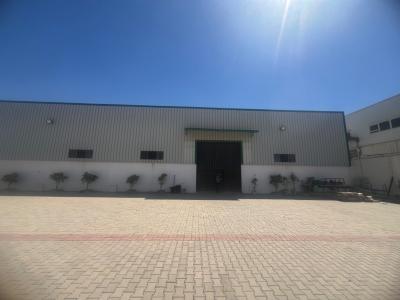 hangar-location-blida-ben-khellil-algerie