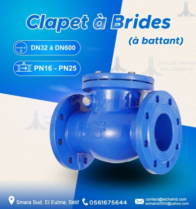 Clapets à Brides à Battant McFlow