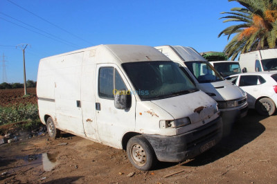 fourgon-fiat-ducato-28-2000-alger-centre-algerie