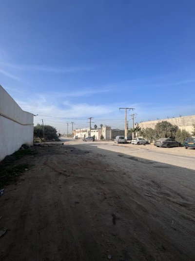 Sell Hangar Alger Les eucalyptus